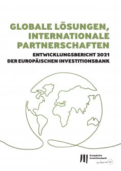 eBook: Globale Lösungen, internationale Partnerschaften