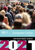 eBook: EIB Investment Survey 2021 - European Union overview
