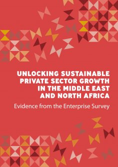eBook: Unlocking Sustainable Private Sector Growth in the Middle East and North Africa