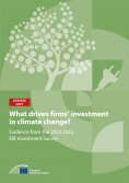 ebook: What drives firms' investment in climate action?