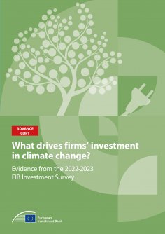 ebook: What drives firms' investment in climate action?