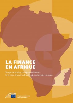 ebook: La finance en Afrique