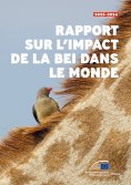 ebook: Rapport sur l'impact de la BEI dans le monde en 2023-2024