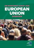 eBook: EIB Investment Survey 2025 - European Union overview