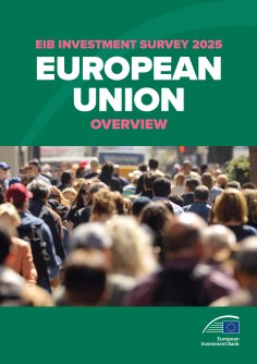 eBook: EIB Investment Survey 2025 - European Union overview