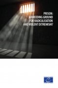 eBook: Prison: a breeding ground for radicalisation and violent extremism?