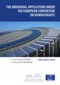 ebook: The individual application under the European Convention on Human Rights