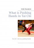 eBook: What is Pushing Hands in Tai Chi
