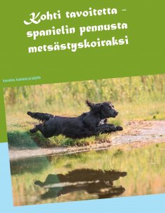 ebook: Kohti tavoitetta