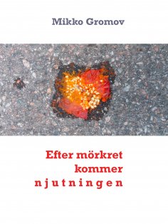 ebook: Efter mörkret kommer njutningen