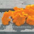 ebook: Kanttarelli metsänherkku