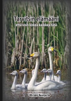 eBook: Tarvitsin elämääni