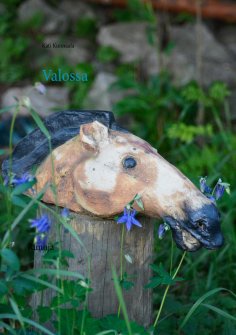 ebook: Valossa