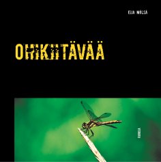 eBook: Ohikiitävää