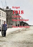 ebook: Kriget 1918 i dåtida dagstidningar