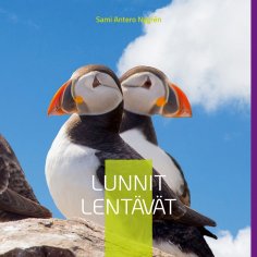 ebook: Lunnit Lentävät