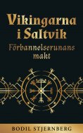 eBook: Vikingarna i Saltvik