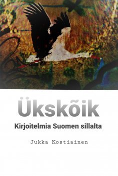 eBook: Ükskõik