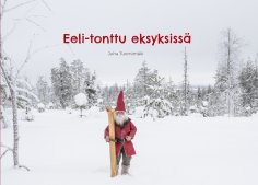 eBook: Eeli-tonttu eksyksissä