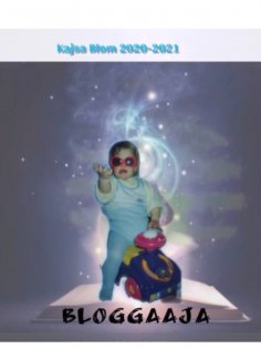 eBook: Bloggaaja