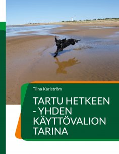 ebook: Tartu hetkeen - yhden käyttövalion tarina
