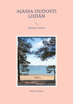 eBook: Ajassa oudosti liidän