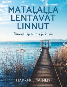 eBook: Matalalla lentävät linnut