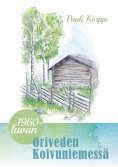 ebook: 1960-luvun Oriveden Koivuniemessä