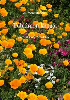 ebook: Tuhkimon kengät