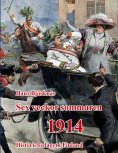 ebook: Sex veckor sommaren 1914