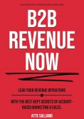 eBook: B2B Revenue NOW
