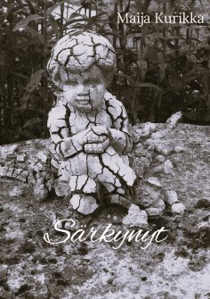 eBook: Särkynyt