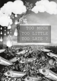 ebook: Too Much Too Little Too Late ?
