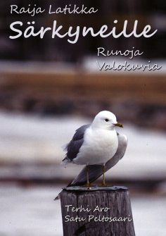 eBook: Särkyneille