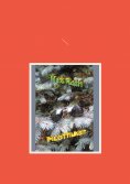 ebook: Pilottilasit
