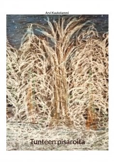 eBook: Tunteen pisaroita