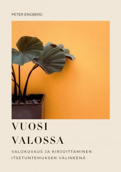 ebook: Vuosi Valossa