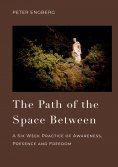 ebook: The Path of the Space Between