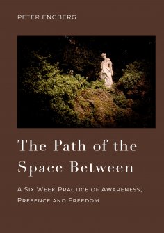 ebook: The Path of the Space Between