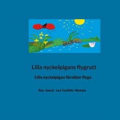 ebook: Lilla nyckelpigans flygrutt
