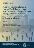 ebook: Aciertos y desaciertos en la protección de los derechos económicos sociales y culturales en la pande