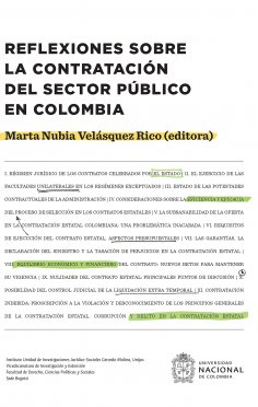 ebook: Reflexiones sobre la contratación del sector público en Colombia
