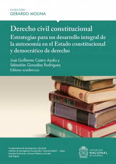 ebook: Derecho civil constitucional