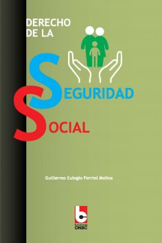 eBook: Derecho de la Seguridad Social