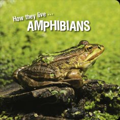 ebook: How they live... Amphibians