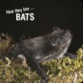 eBook: How they live... Bats