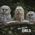 eBook: How they live... Owls