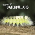 eBook: How they live... Caterpillars