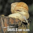 eBook: How they live... Snails and Slugs