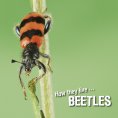 eBook: How they live... Beetles